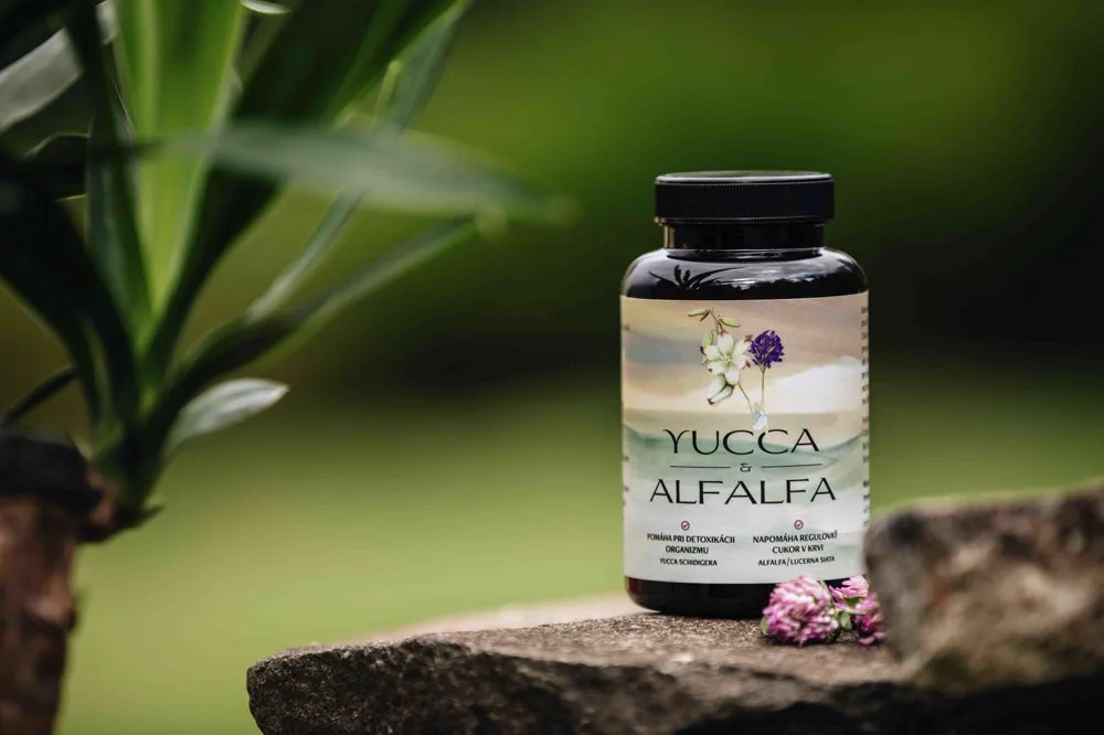 Yucca und Alfalfa Nahrungsergänzung bei Balance by Leny